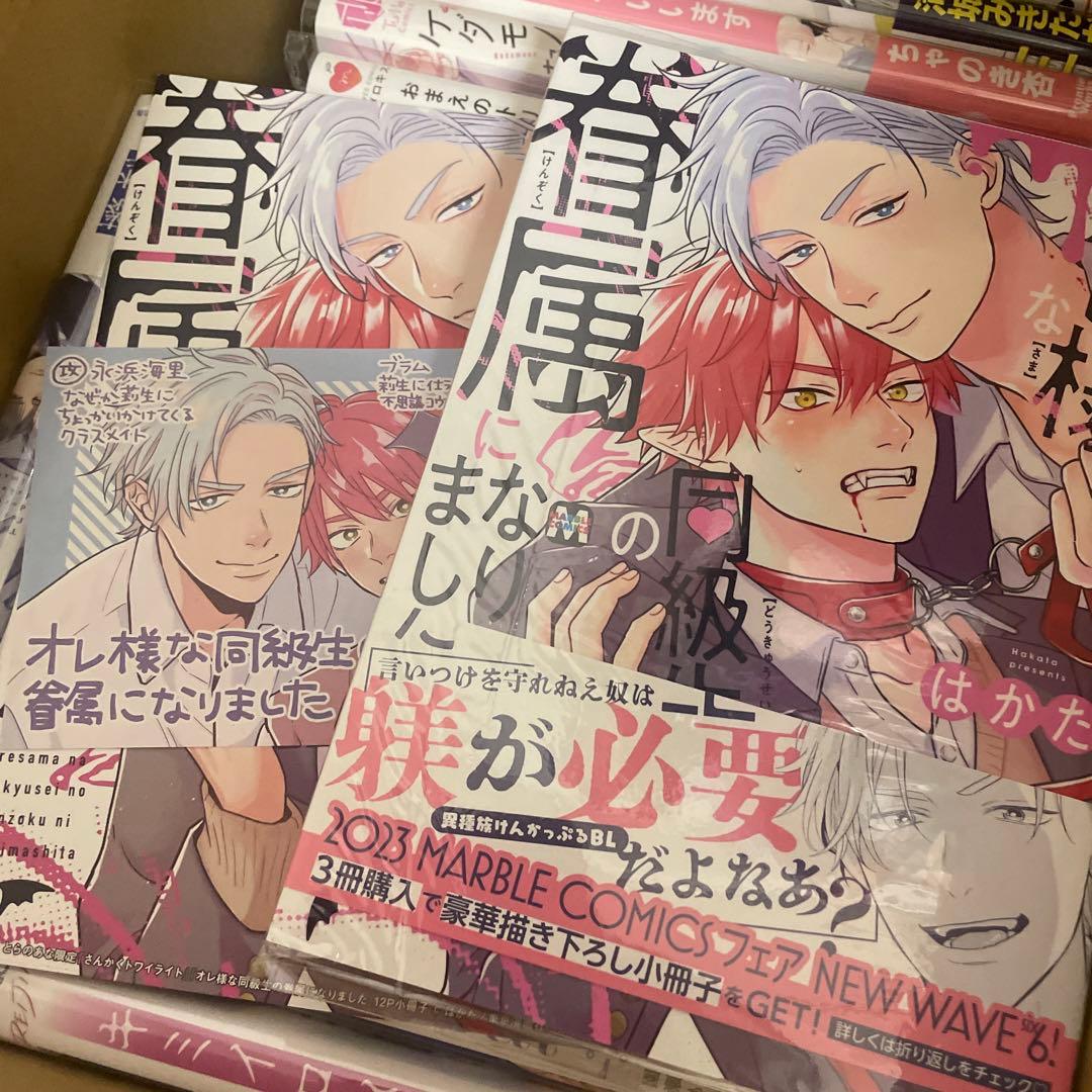 【最終値下げ】女性漫画　BL漫画　23巻セット　特典付き