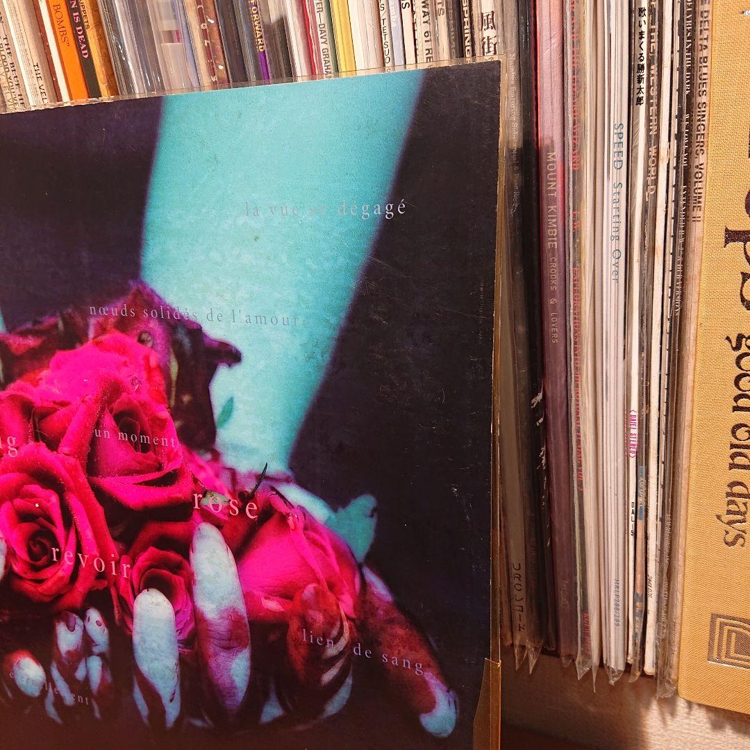 MALICE MIZER【再会の血と薔薇】限定アナログレコード　ピクチャー