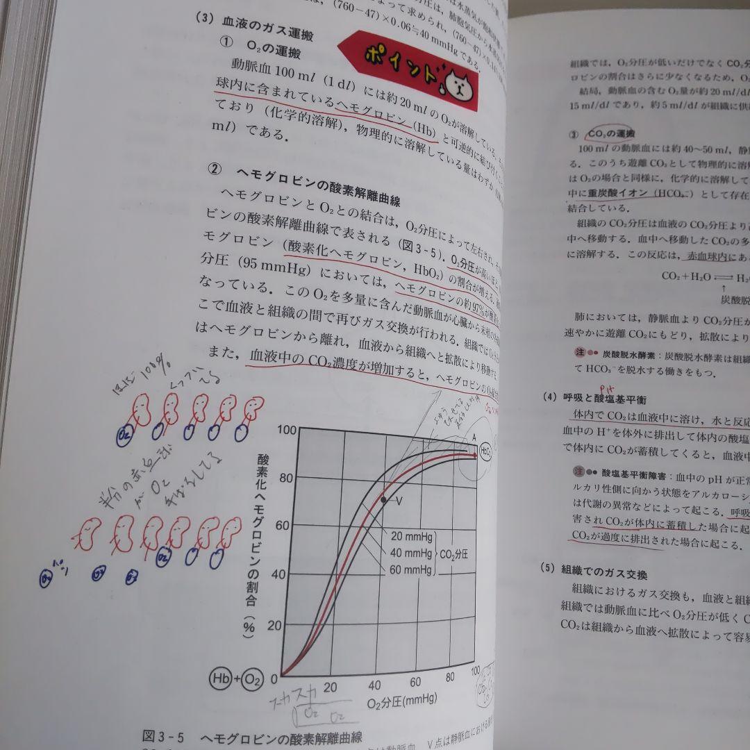 鍼灸　教科書　セット　ギフト付き