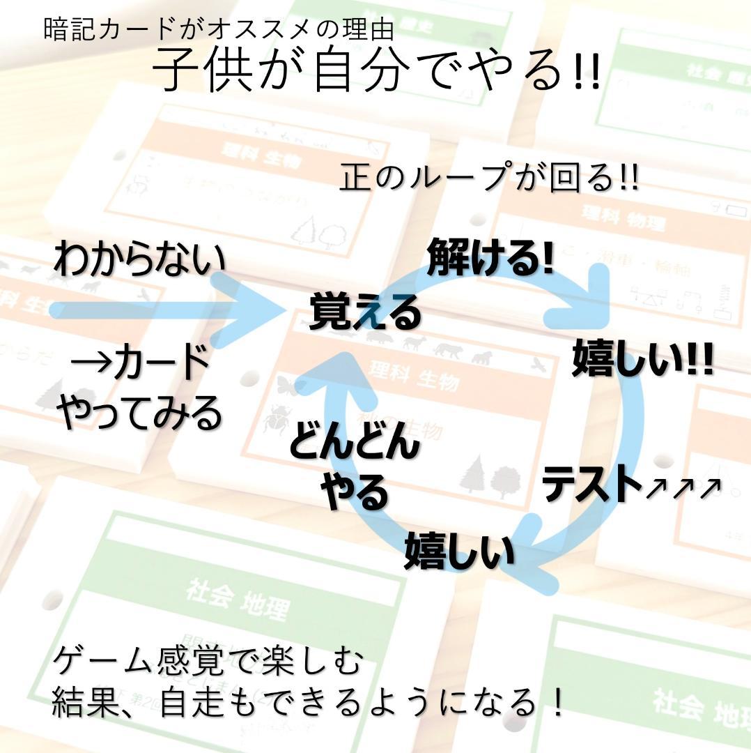 中学受験【4年上ハーフセット 社会・理科11-19回】組分けテスト対策 予シリ