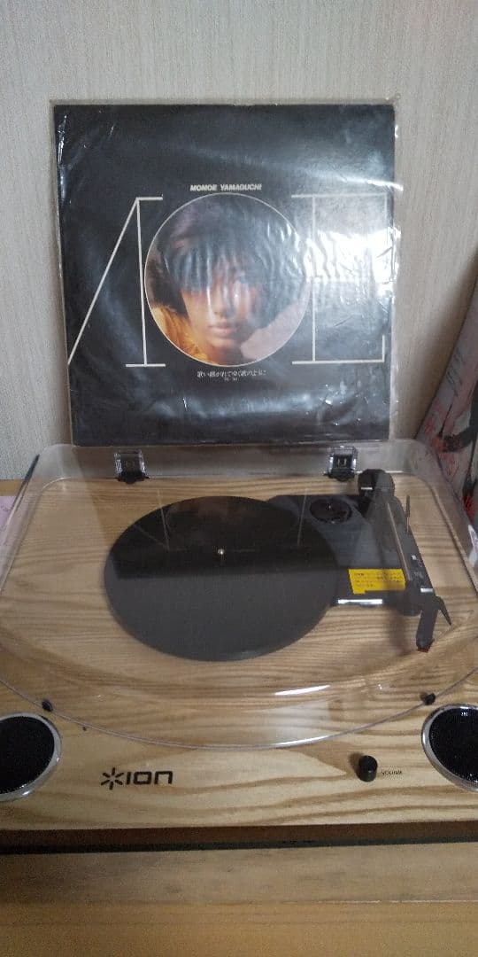 レコード  盤とクリーナー