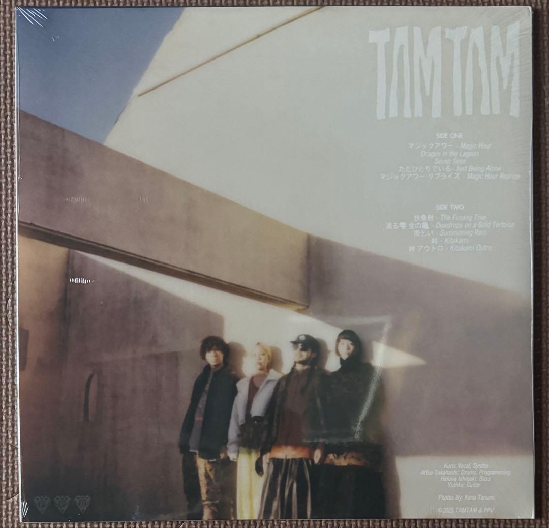 Where They Dwell/TAMTAM/LP/新品