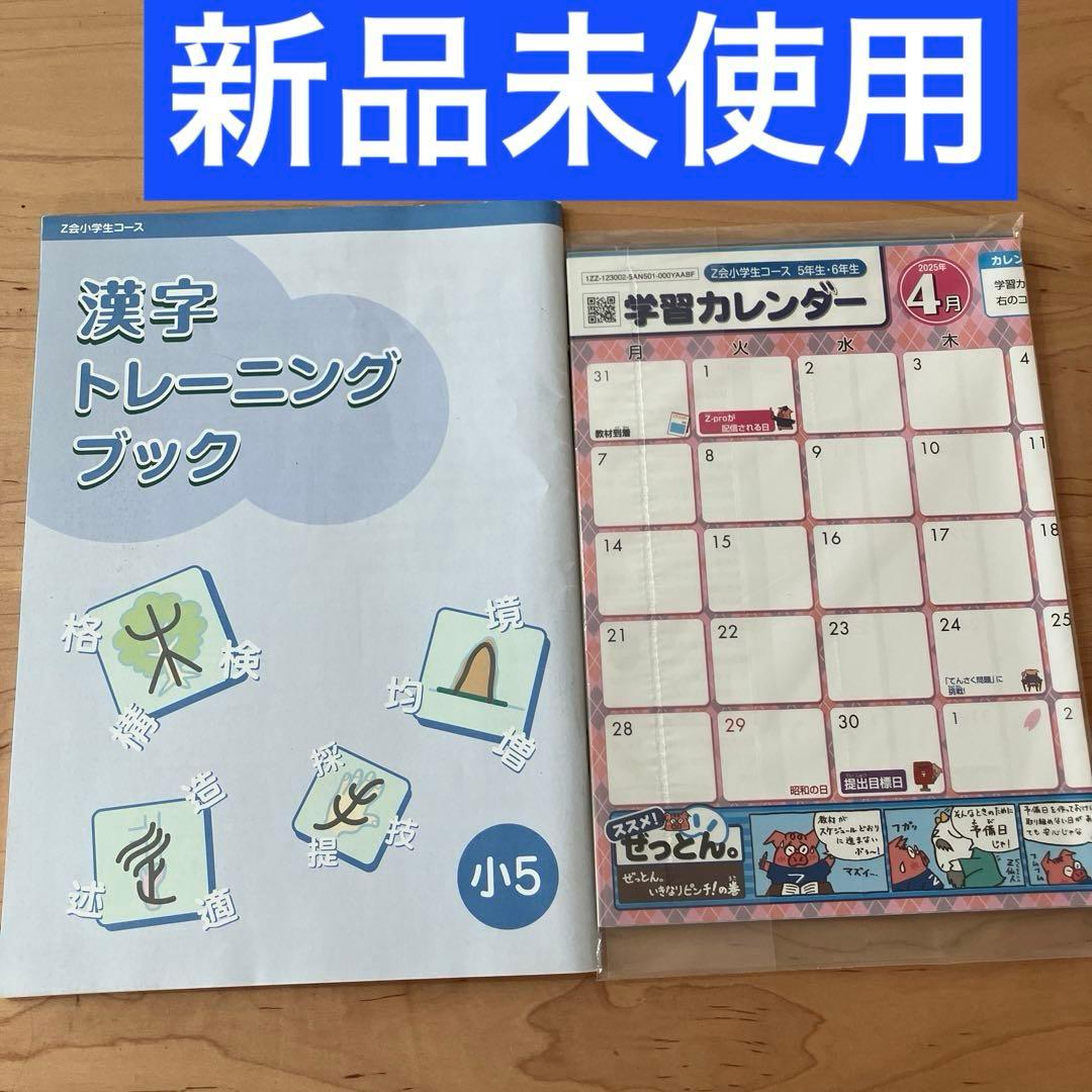 Z会　エブリスタディ 小5 公立中高一貫校適性検査　作文　問題集　中学受験