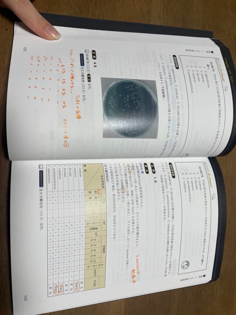 臨床検査技師国家試験解説集Complete+MT2025 黒本 8冊セット