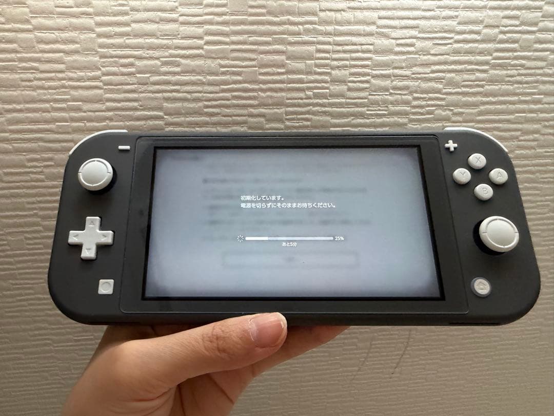 Switchライト本体 あつまれどうぶつの森 世界のアソビ大全