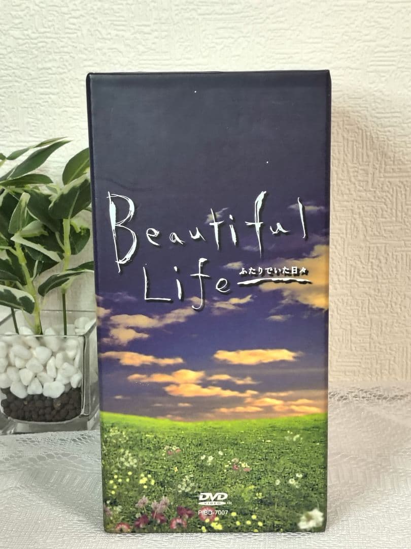(極美品)ビューティフルライフ 6巻セット DVD Beautiful Life