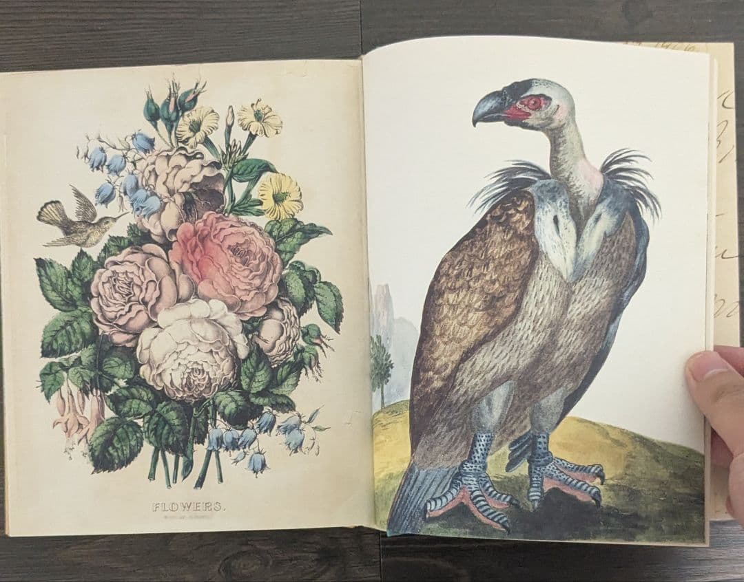洋書ジョン・デリアン(JOHN DERIAN) STICKER BOOK