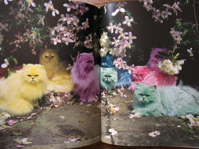 Tim Walker Pictures　ティム・ウォーカー