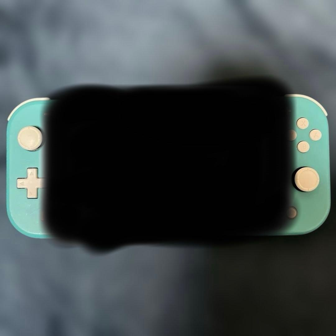Nintendo Switch Lite本体