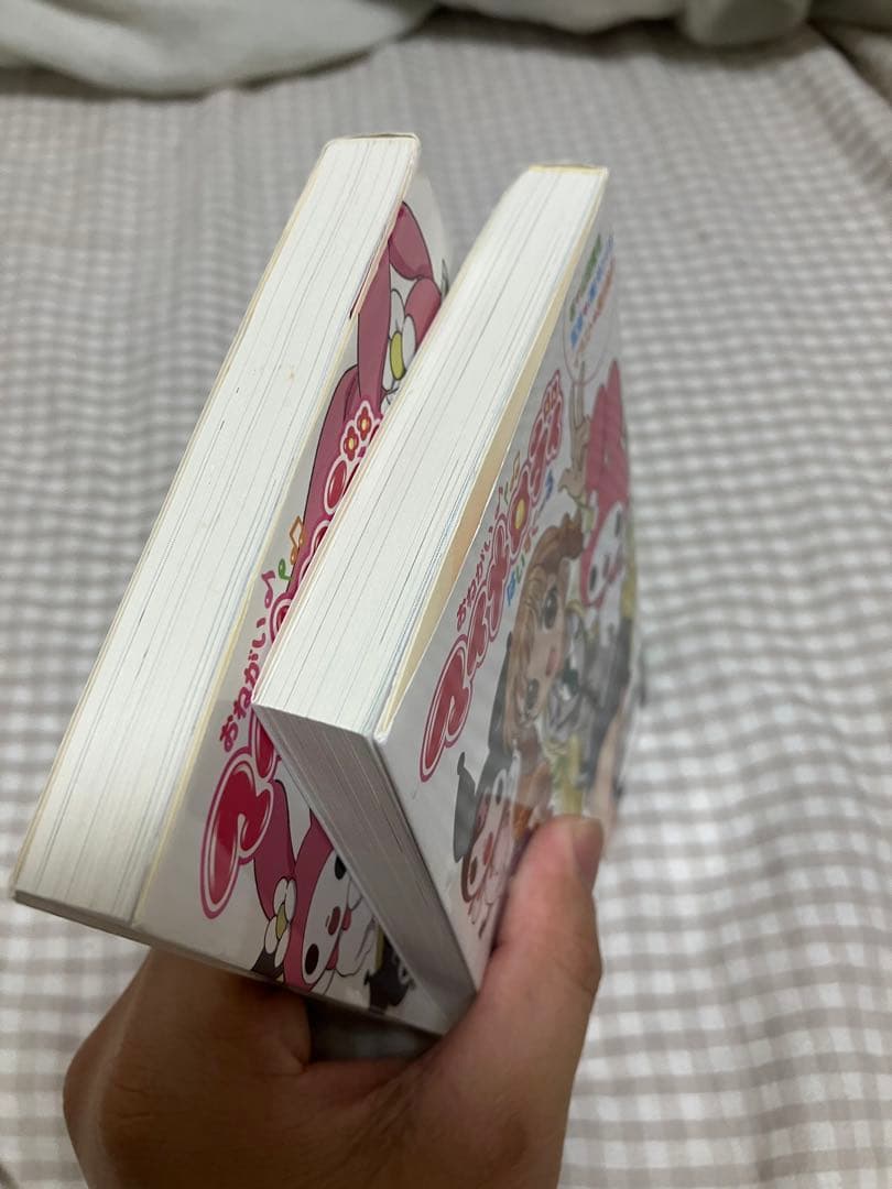 おねがいマイメロディ はいすく〜る・おねがいマイメロディ ふぉ〜えば〜　セット
