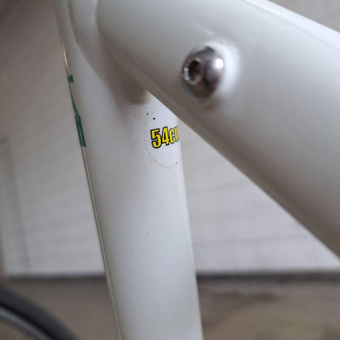 ビアンキ　ローマ3 Bianchi　ROMA3　フレーム54センチ