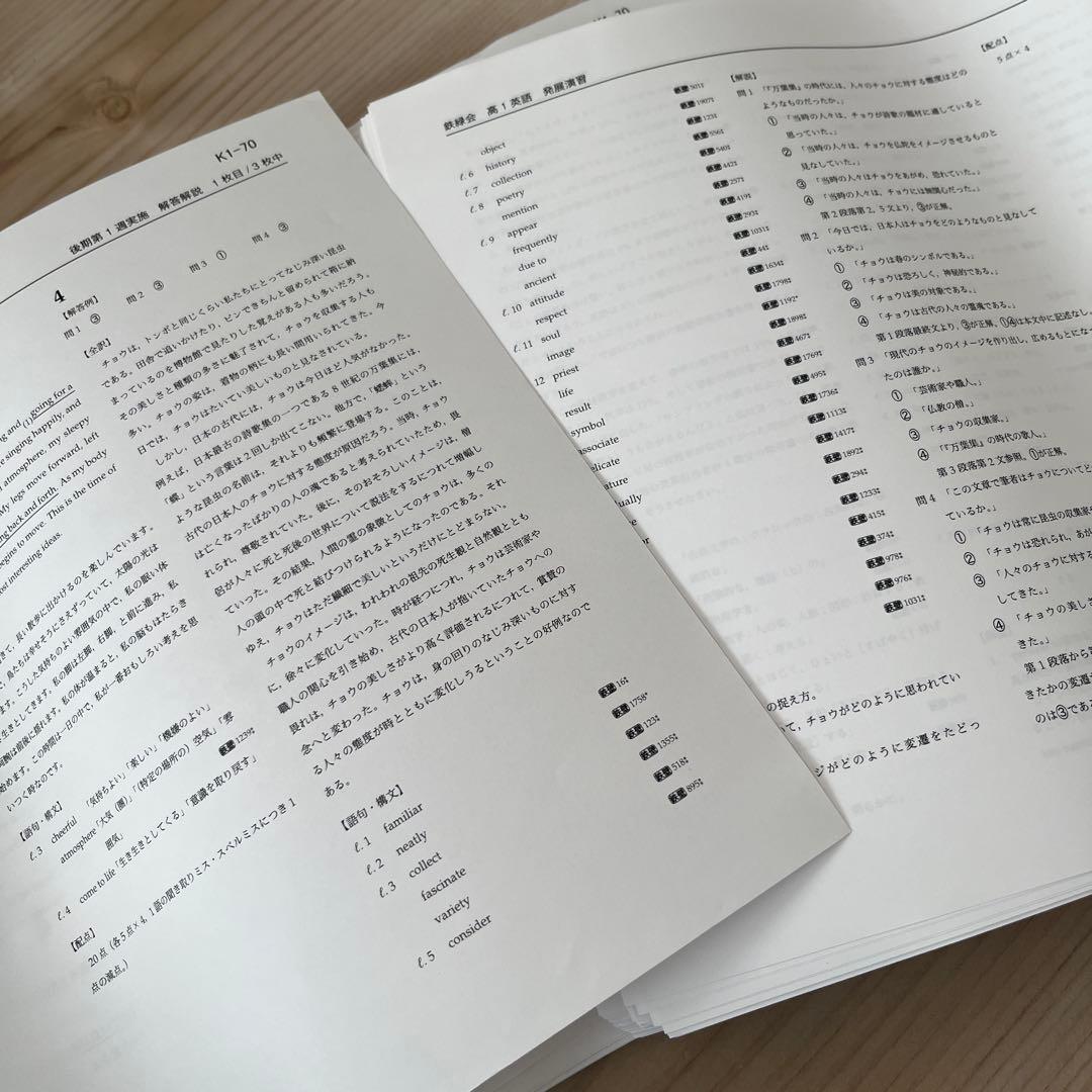 鉄緑会 高1 英語 発展演習