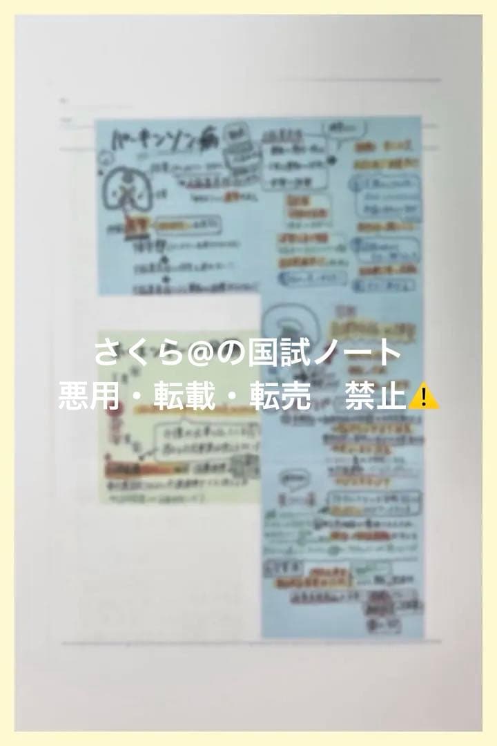 看護【国試対策ノート】【基礎】+【病態】A4サイズ余白あり！勉強・暗記に大活躍！