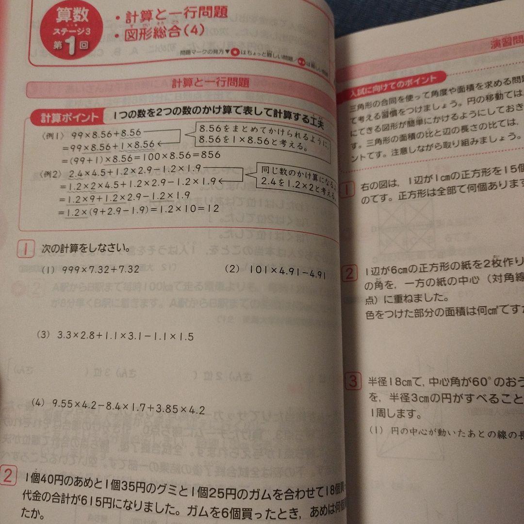 【ほぼ未使用】進研ゼミ 中学受験講座 5年生 問題集＆計算問題集＆解答