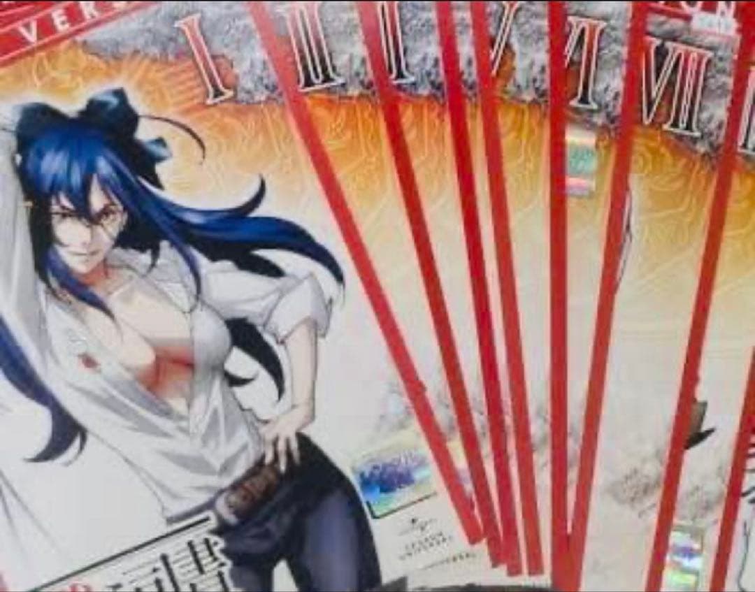 戦う司書 The Book of Bantorra DVD全巻完結セット