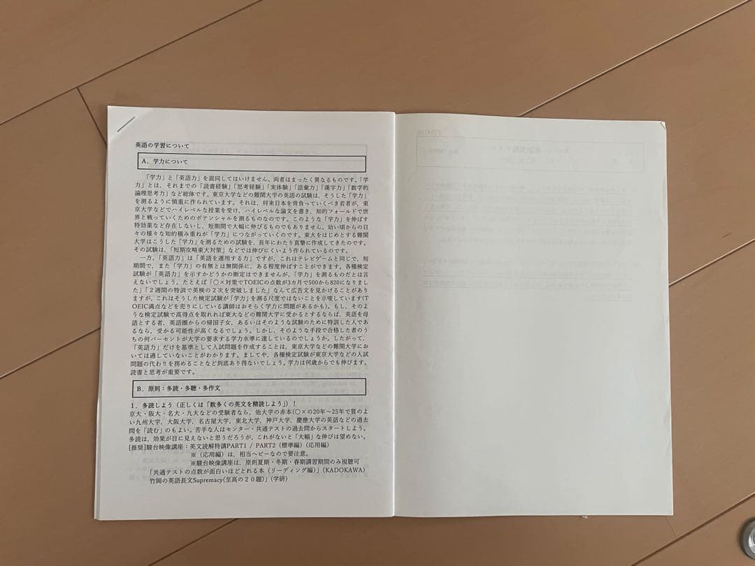 駿台 ex竹岡弘信　前期後期全ex授業プリント　ゲジゲジ