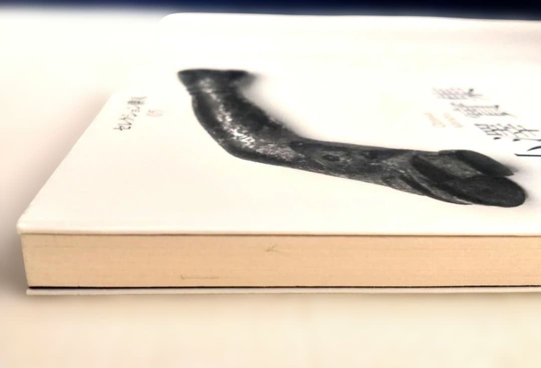 小澤實集 セレクション俳人 05 　邑書林