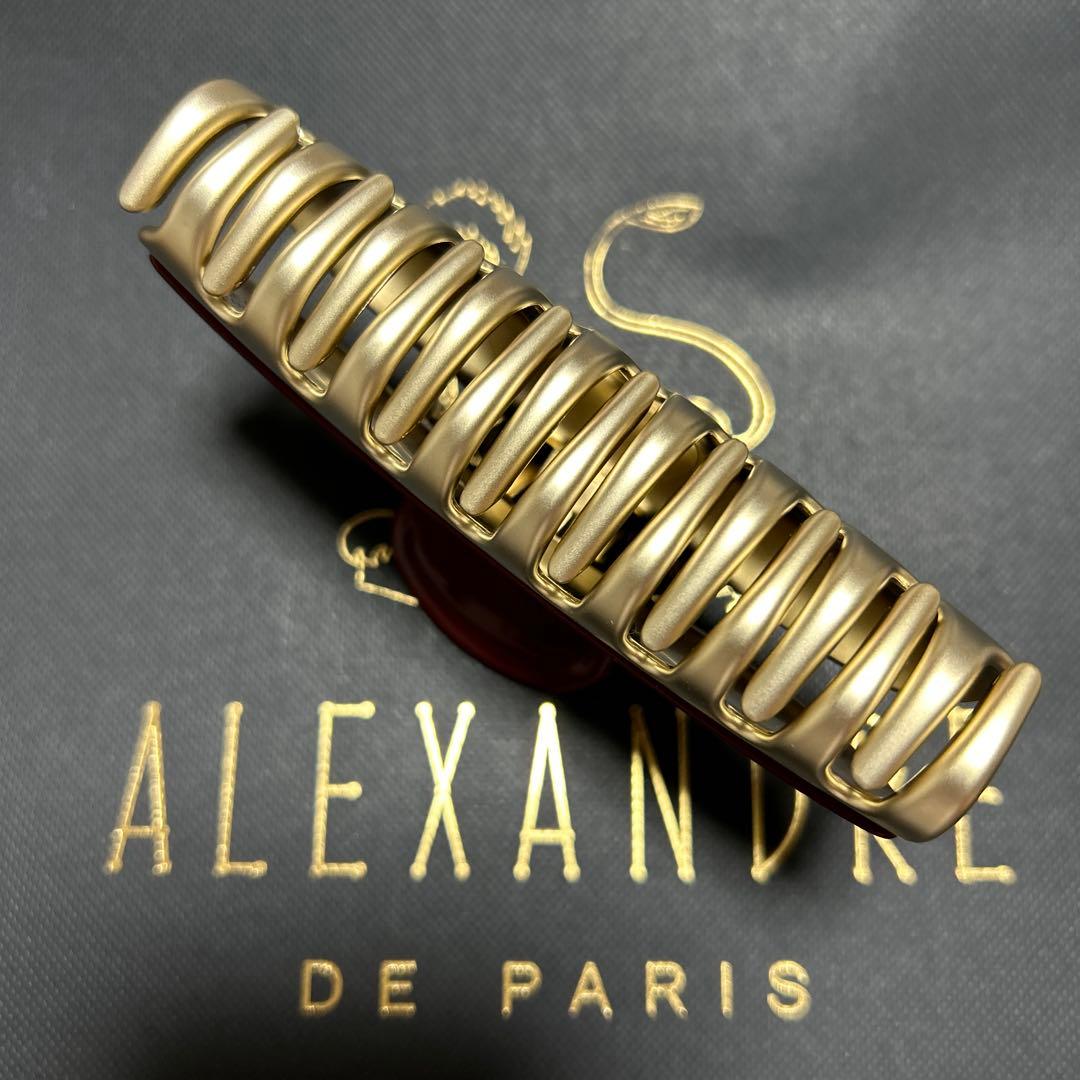 新品 ALEXANDRE DE PARIS ヴァンドームクリップ 10.5㎝