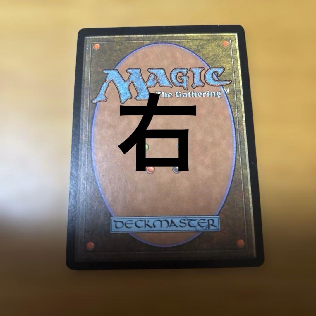 MTG 補充　2枚セット