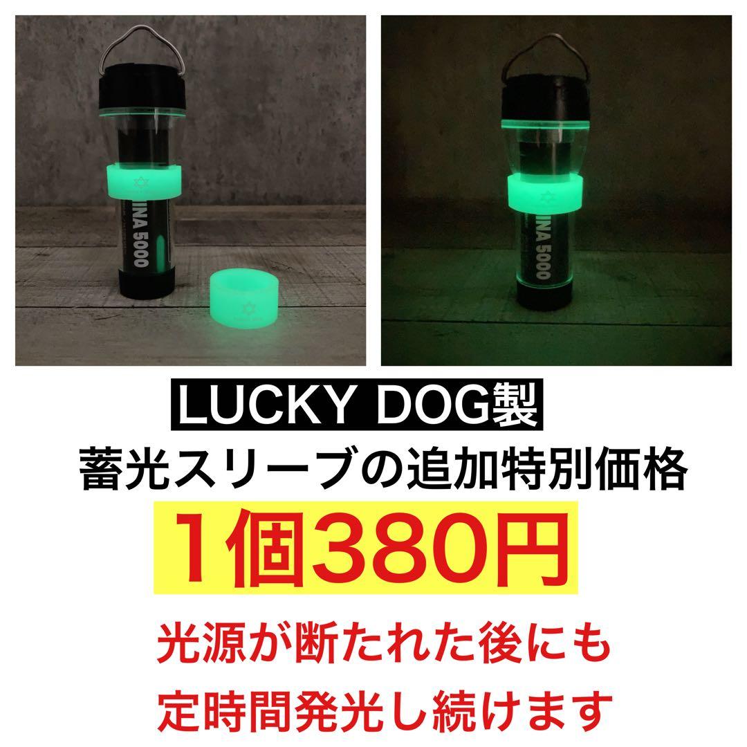 カバーが無料　LUMINA5000 ルミナ5000 ゴールゼロ　スームルーム　③