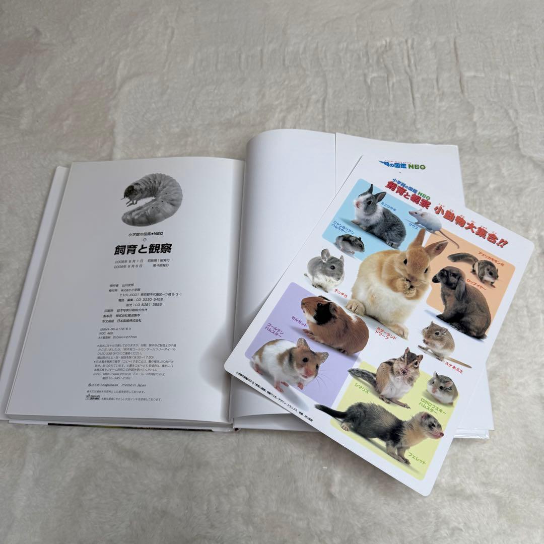 【良品】小学館の図鑑NEO 20冊セット　（DVD・付録多数）