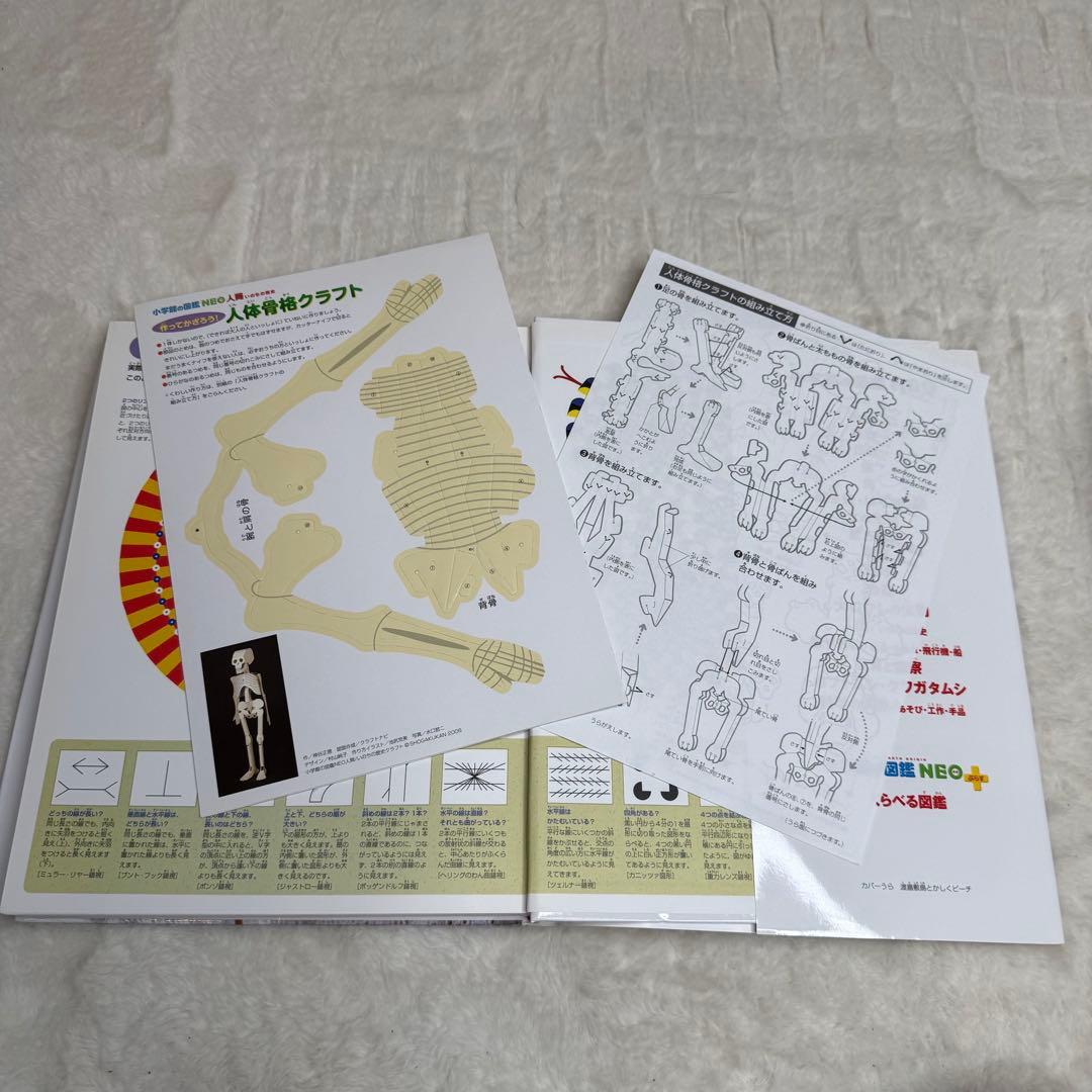 【良品】小学館の図鑑NEO 20冊セット　（DVD・付録多数）
