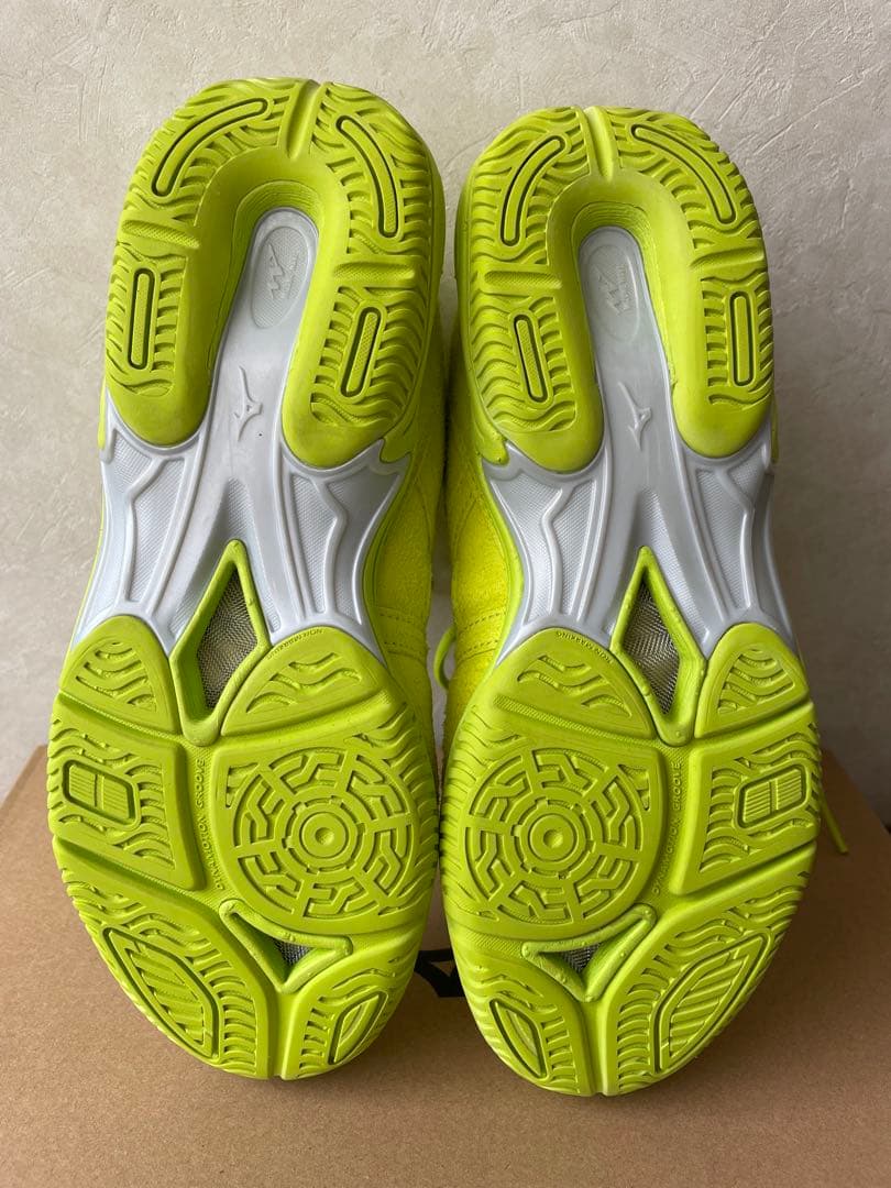Mizuno ウェブダイバートレーニングシューズ 22.5cm