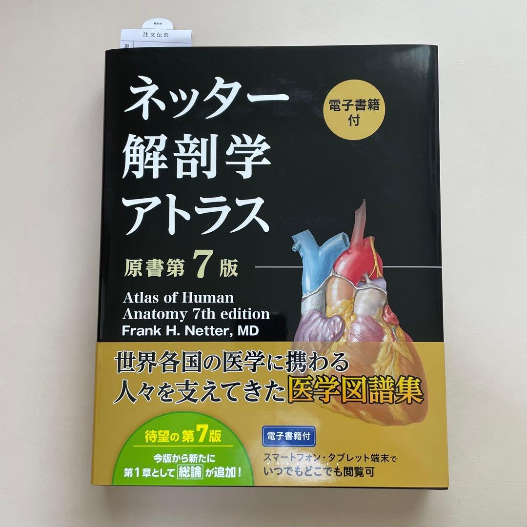 【電子書籍使用不可】ネッター解剖学アトラス(原書第7版)