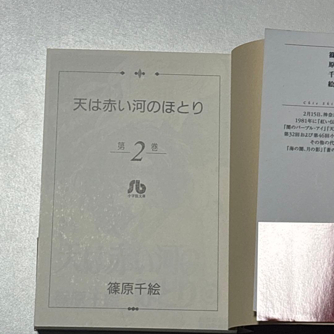 天は赤い河のほとり天は赤い川のほとり 小学館文庫版 全巻セット全16巻 篠原千絵