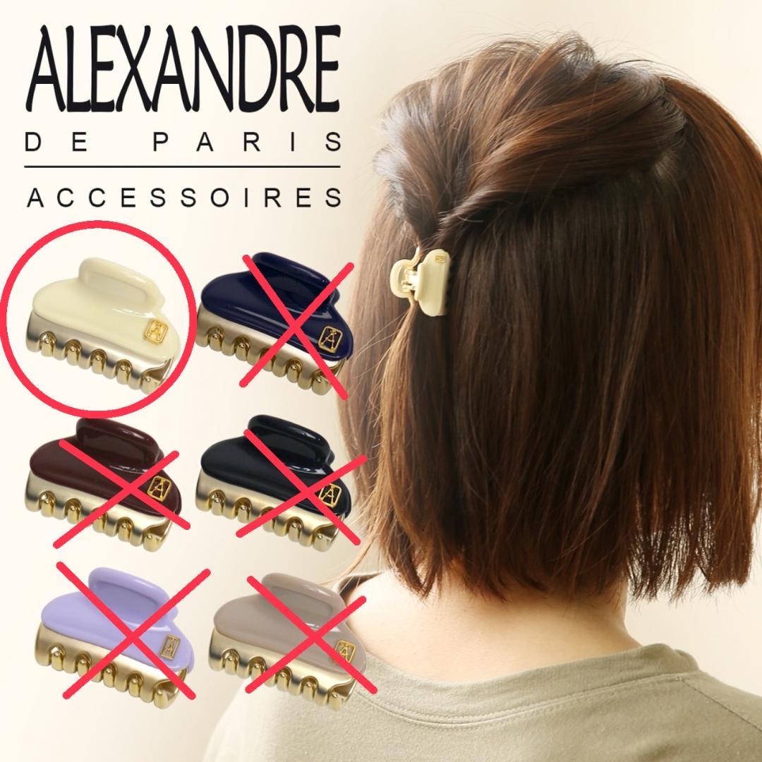 ALEXANDRE DE PARIS / VENDOMEクリップ 2個セット