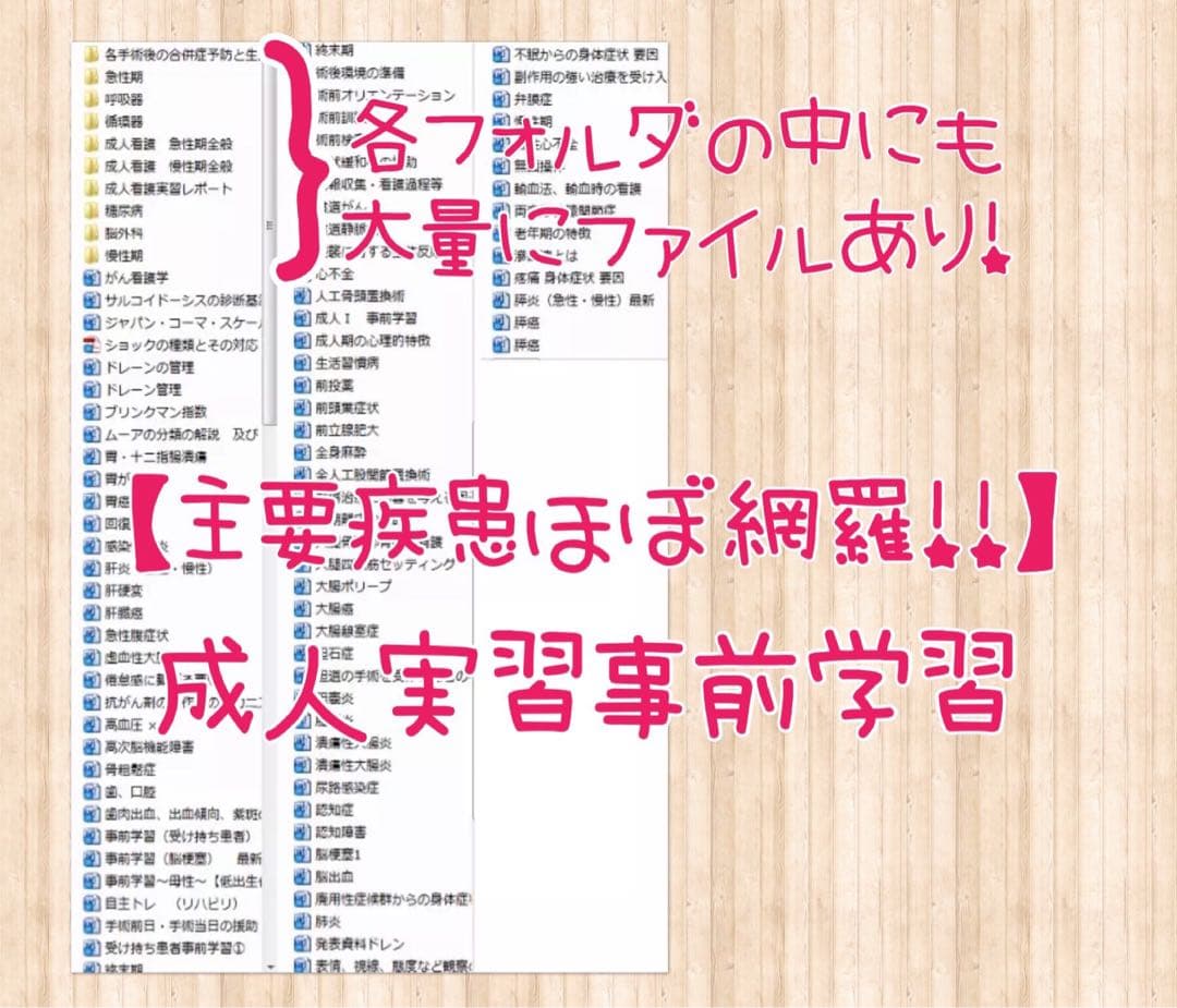 看護実習 看護学生 アセスメント 手順書 関連図 看護計画 国家試験 実習資料