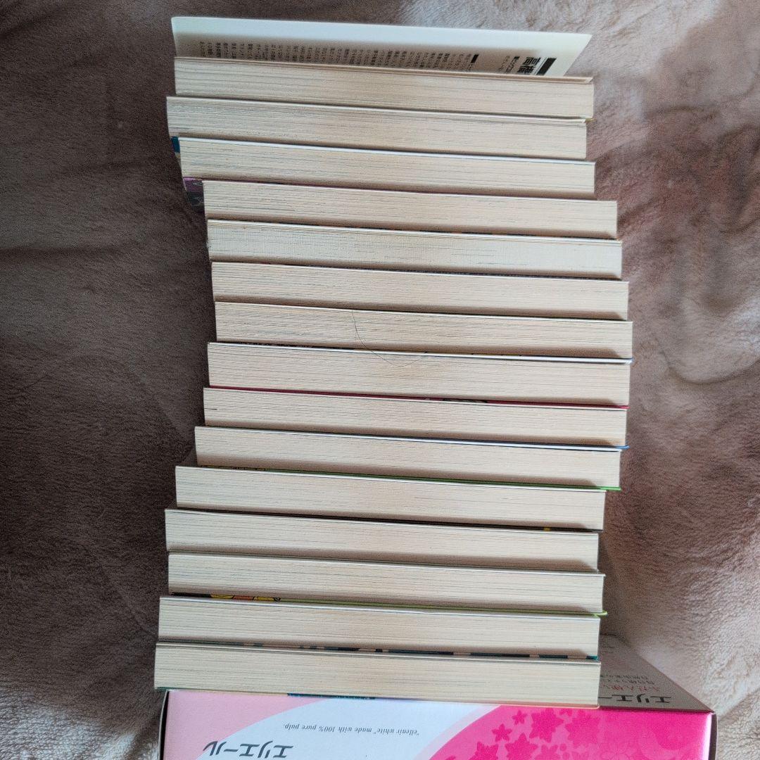 めぞん一刻