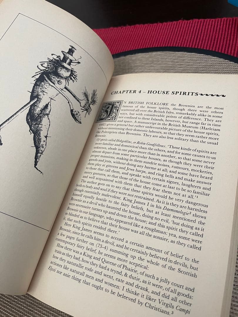 The Vanishing People: Fairy Lore and…
