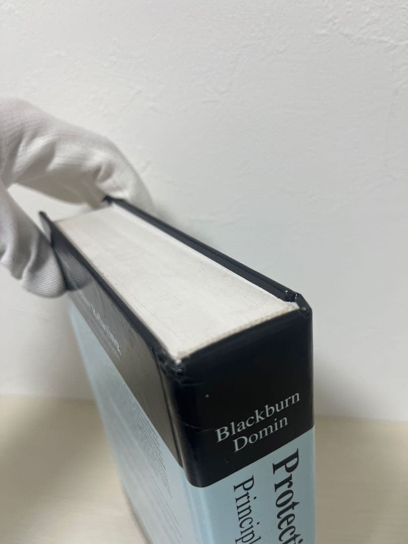 洋書 Protective Relaying: Principles and
