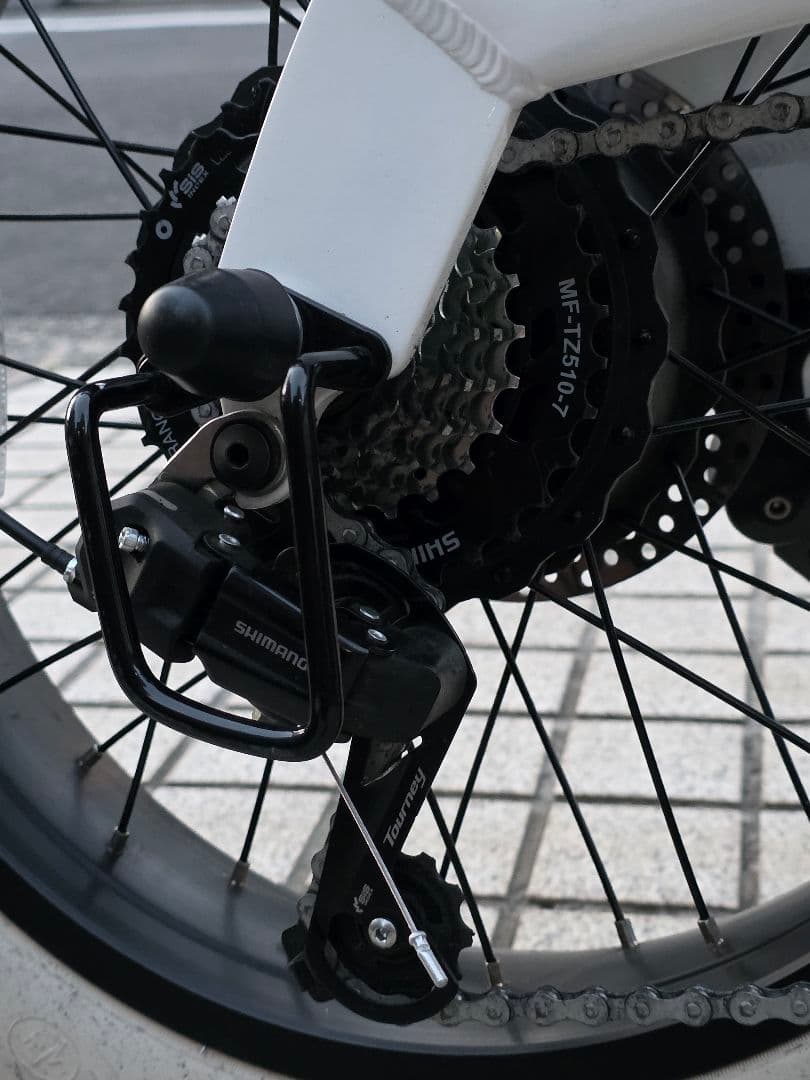 自転車本体 coswheel