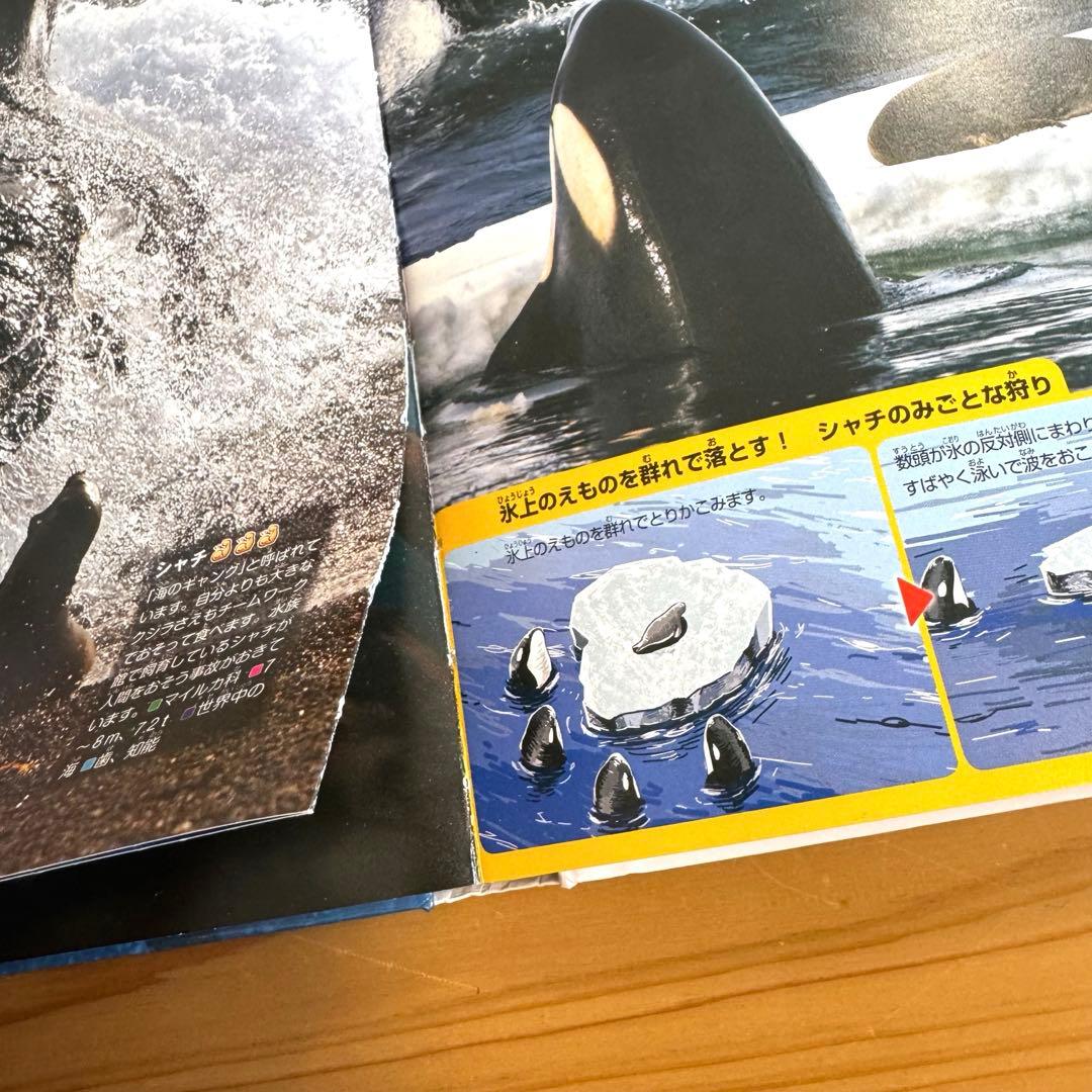 図鑑move 図鑑move mini セット 合計20冊 DVDなし 図鑑のみ